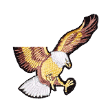 AnnoWillem's berichtenfoto